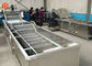 Attrezzatura di verdure industriale di lavaggio 800 kg/h di capacità di risparmi di alta efficienza dell'acqua