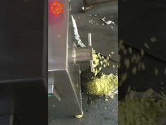 Frozen meat grinder test machine video
