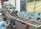 Lavatrice di verdure del mirtillo della macchina dell'unità di elaborazione di potere di 3 chilowatt 800 kg/h di capacità